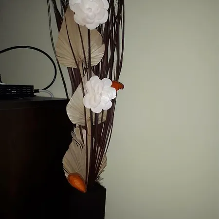 Appartement дипломатик хил Varna